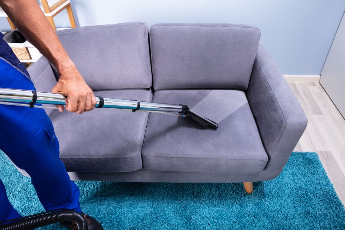 Sofa Cleaning Services: The Complete Guide to a Cleaner, Fresher, and Healthier Living Space